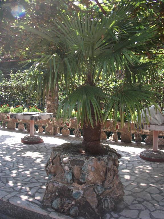 Radonjic Apartments Budva Dış mekan fotoğraf